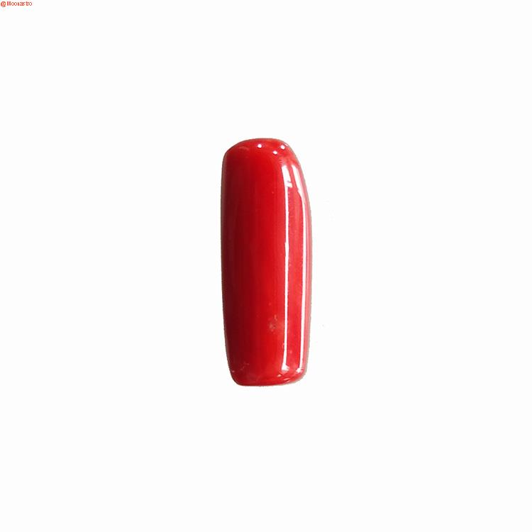 red coral premium large size
